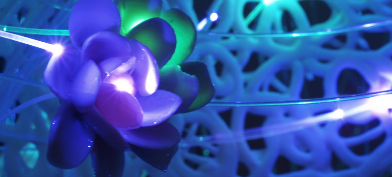 Antonella Cimatti: installations and fibre optics image 12